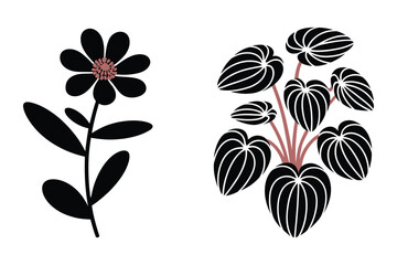 Obraz premium Decorative black flower with pink center and broad leaf plant vector, botanical