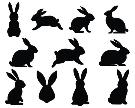  Rabbits of icon set . Set of Rabbit Silhouettes . Set of different rabbits silhouettes for design use . Black icon Set of Bunny Poses . Rabbit Movement Silhouette . isolated on a white background. 
