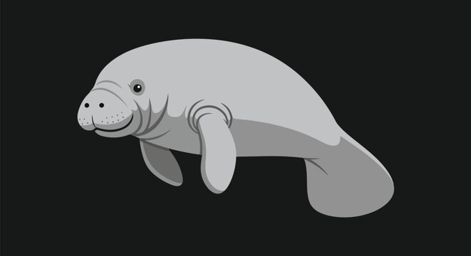 Flat Design Minimal Illustration Isolated Object Grey Manatee Over Black Background