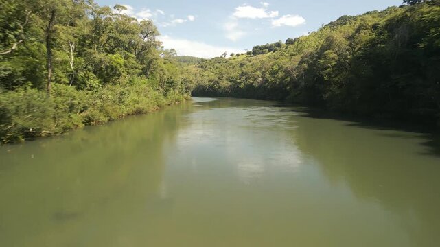 A green river among trees on a sunny day. Drone footage. 