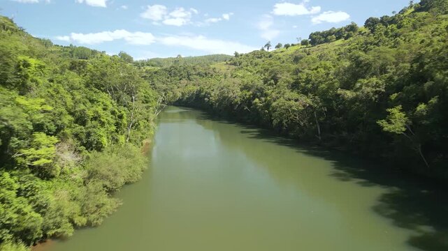 A beautiful green river among trees on a sunny day. Drone footage. 