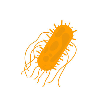 Salmonella typhi bacteria vector illustration for food poisoning and contamination concept. Microbiology pathogen isolated in flat style for healthcare, lab and hygiene awareness