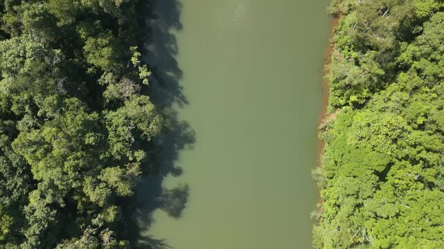 Zenithal drone footage of beautiful green river among trees on a sunny day. 