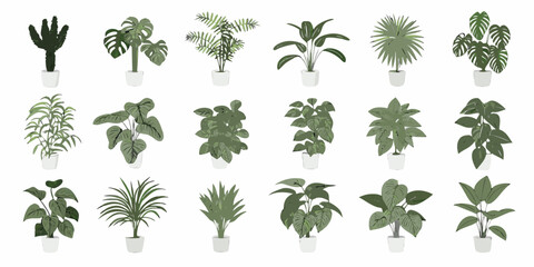 Collection of various potted indoor plants against a white background © Partha