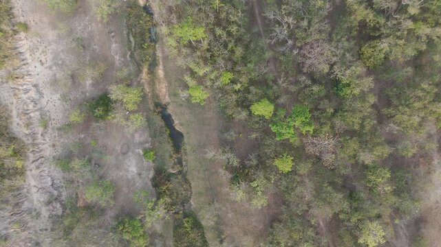 Drone top view of tropical sparse forest in rural area with dry terrain and small water stream. Natural landscape showing seasonal change