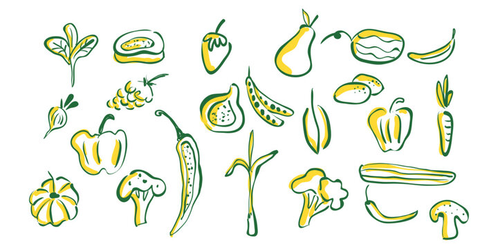 Healthy Vegetables crayon hand drawn doodle Set. Green outline vegan farm elements for grocery Market poster or menu design.
