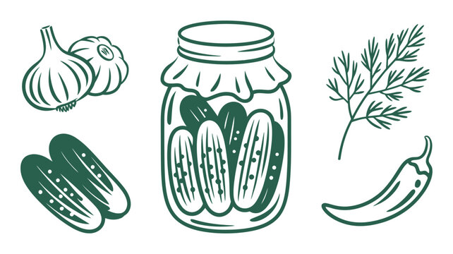 Hand drawn pickled cucumbers in jar, accompanied by garlic, dill, and chili, high quality professional detailed modern culinary vector illustration.