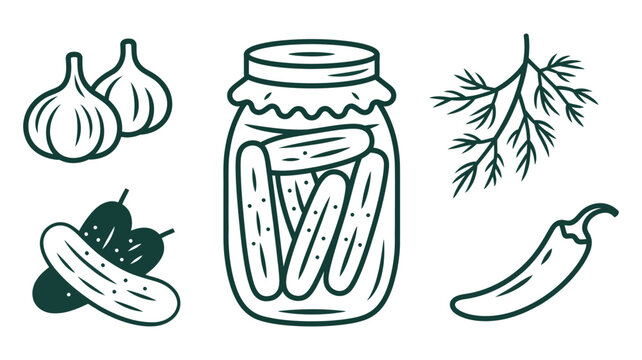 Hand drawn pickled cucumbers in jar, accompanied by garlic, dill, and chili, high quality professional detailed modern culinary vector illustration.