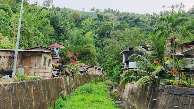 Busay community living along river, surrounded by lush tropical hills and vibrant flora, showcasing local life in Cebu, Philippines, static shot