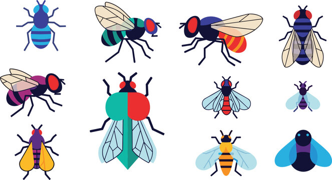 Fly Insect Vector Set Colorful Bug Collection Flat Style Illustration Isolated