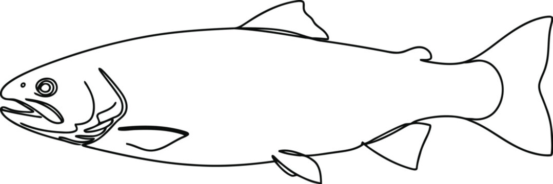Simple line drawing of a salmon fish facing left on white background