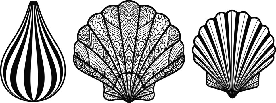 Decorative seashell line art set with scallop and spiral shell patterns hand drawn marine vector illustration collection isolated on white background