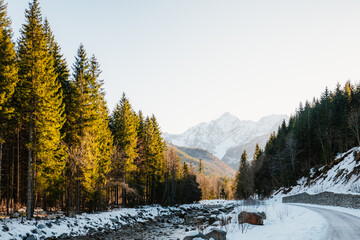 Mountain view with hiking path in Javorova dolina nature reserve during a winter sunny day in Slovakia in High Tatras mountains © Zedspider