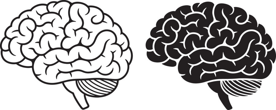 Two stylized of the human brain one in outline and one in solid black showing cerebral cortex and cerebellum on a white background Keywords: brain