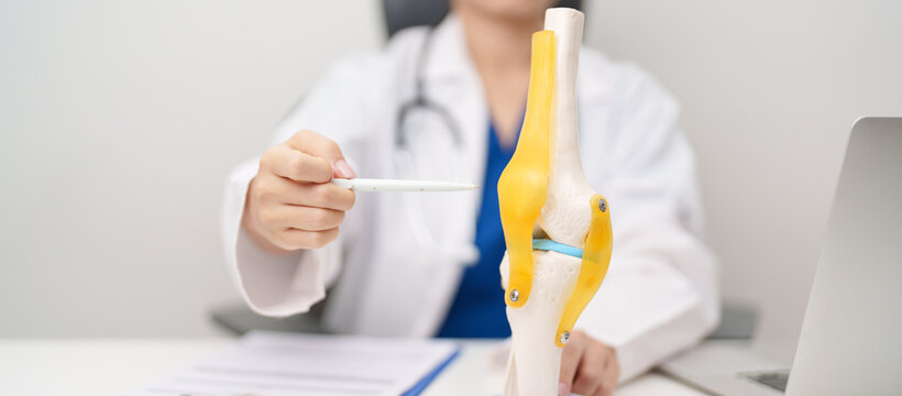 Doctor with Human Knee joint anatomy model. Osteoarthritis, Patellofemoral Pain Syndrome, Patellar Tendinitis, ACL, Anterior Cruciate Ligament, PCL, Posterior, MCL, Medial Collateral, LCL and Lateral