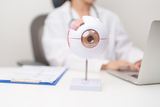 Doctor with human Eye anatomy model with magnifying glass. Eye disease, Refractive Errors, Age Related Macular Degeneration, Cataract, Diabetic Retinopathy, Glaucoma, Amblyopia, Strabismus and Health