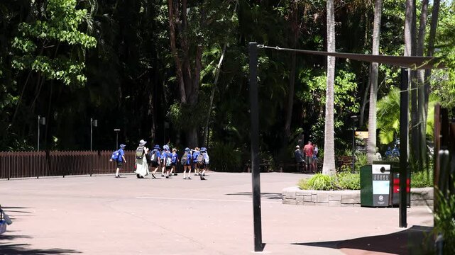 School Children in Uniform Walking Through a Sunny Australian Zoo
