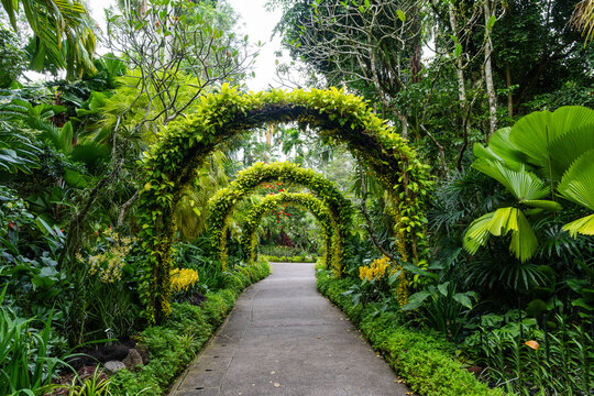Views of the Singapore botanic gardens