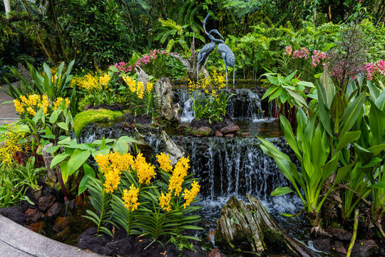 Views of the Singapore botanic gardens