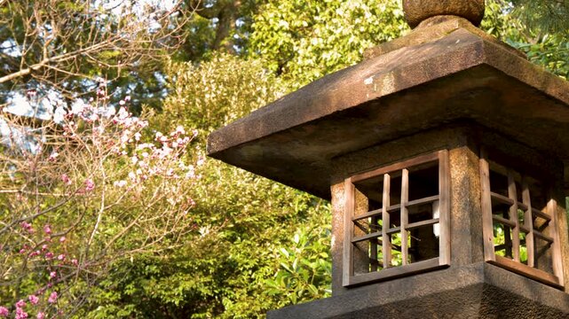 Traditional Stone Lantern and Pink Plum Blossoms in Kanazawa Japanese Garden