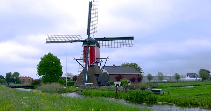 Traditional Iconic dutch windmill blades turning in the wind middle of the fields with wildflowers.