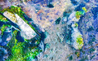 Fototapeta premium Polluted drain slime texture with toxic colorful chemical waste background.