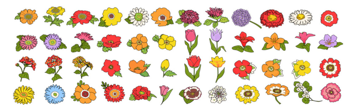 レトロで可愛らしい様々な花のグラフィック素材