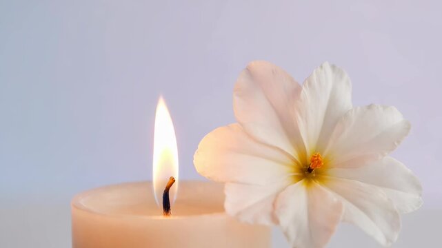 Serene Poya Day Candle and Flower Composition Highlighting Buddhist Religious Practices and Celebrations