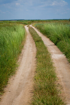 Winding dirt road through a lush green meadow under a blue summer sky. A tranquil path representing a journey, adventure, and the road ahead in a serene rural landscape.