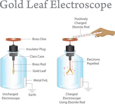 Gold Leaf Electroscope Diagram Charged and Uncharged States with Ebonite Rod Vector Illustration.