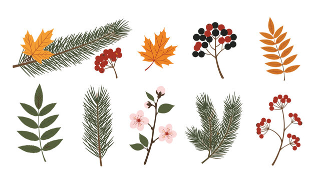 Selection of various autumn-themed botanical elements including maple leaves, red berries, pine branches, and cherry blossoms.
