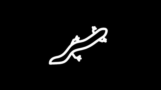 Simple white outline of a salamander on a black background, minimalist design