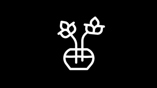 Simple line art icon of two plants in a vase on a black background