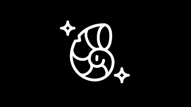 Stylized white nautilus shell icon with sparkling stars on a black background