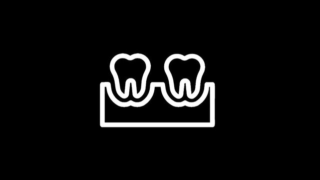 Simple line art icon of two healthy teeth rooted in gums on a black background