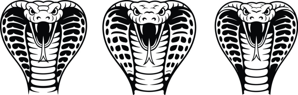 Aggressive king cobra snake head vector illustration set with open mouth fangs and expanded hood, black and white tribal style design, detailed line art for tattoo logo mascot and branding use.