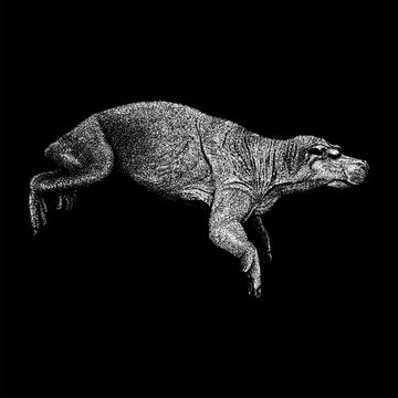 hand-drawn vector illustration of Paleoparadoxia, an extinct genus of large aquatic herbivorous mammals. Detailed stipple and line art style.
