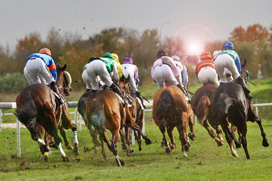 Turf con caballos en grupo y jinetes galopando en pelot&oacute;n en hip&oacute;dromo con pista de hierba y sol de frente