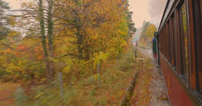 A nostalgic steam train travels through colorful autumn trees, offering a picturesque view. Ideal for travel ads and nostalgic themes. des pignes