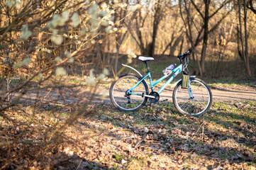 Fototapeta premium Blue Mountain Bike Parked on Forest Path During Sunny Spring Day Outdoor Adventure and Active Life