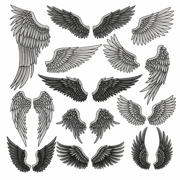 A comprehensive collection of various hand-drawn vector wings in grayscale, including angelic, bird, and heraldic styles with detailed feather textures isolated on a white background.