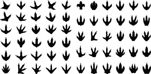 Obraz premium Various black silhouettes of diverse bird footprints and tracks showing different avian walking patterns