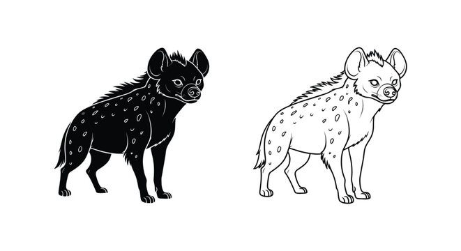 Spotted Hyena vs Aardwolf Comparison Guide Vector