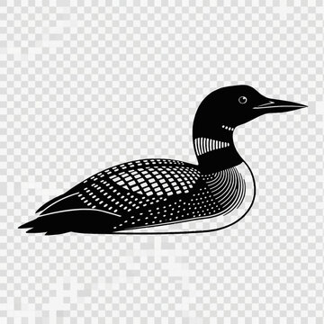 Stylized black and white vector illustration of a common loon with intricate line art patterns on the wings and neck, shown in a swimming profile view on a transparent background.