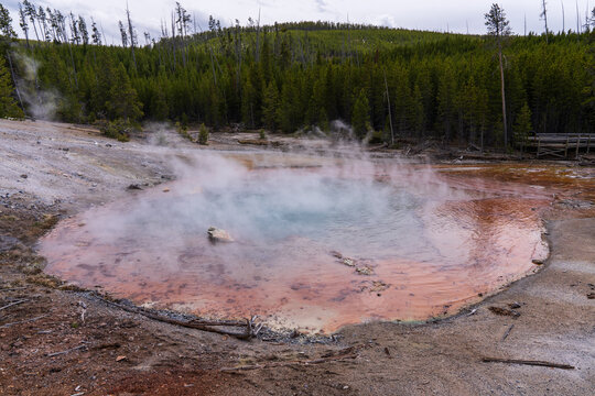 A wide shot of the steaming Echinus Geyser pool, the world's largest acidic geyser, Yellowstone National Park