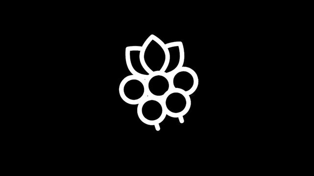 Minimalist white outline of a raspberry cluster with leaves on a black background