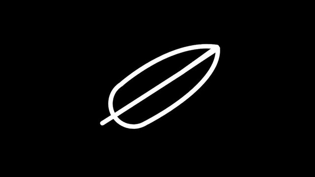 Simple white outline of a feather on a stark black background