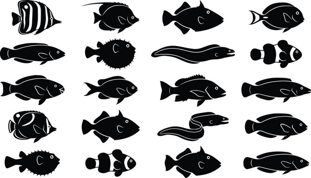 Diverse Collection of Tropical Sea Fish Silhouettes Featuring Clownfish Pufferfish Angelfish and Moray Eels for Underwater Marine Life and Ocean Protection Designs