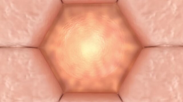 Beauty serum macro revealing dry grey scale become glowing cell.