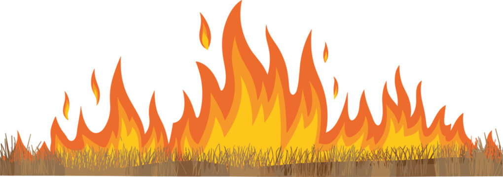 Wildfire flames burning dry grass landscape intense fire hazard illustration